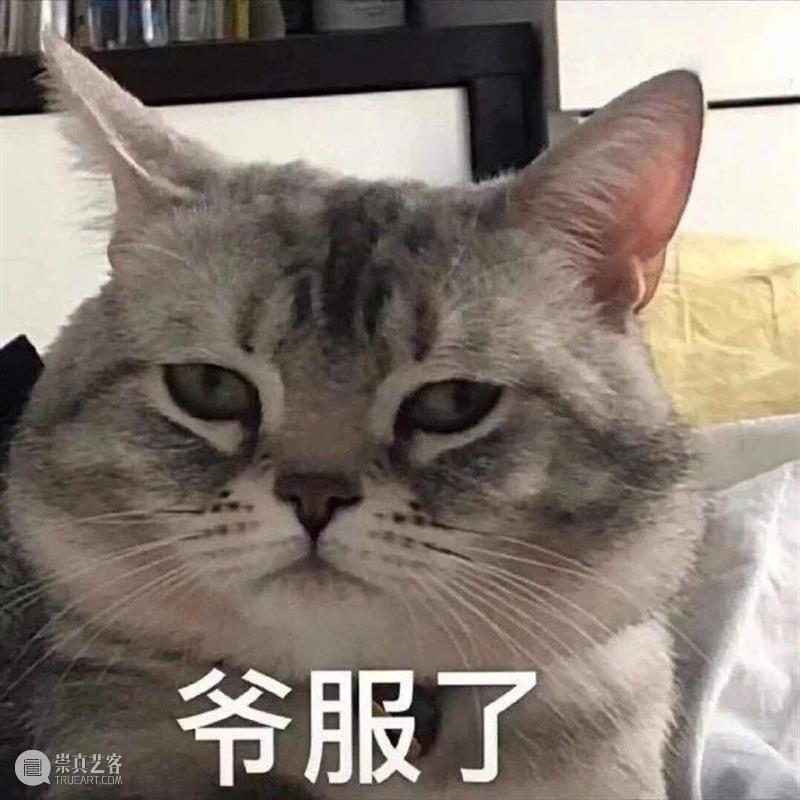 赵英俊去世；石原里美感染新冠；人人影视字幕组被查 赵英俊 人人影视字幕组 石原里美 新冠 影视 好剧 小豆 音乐人 亲友 讣告 崇真艺客