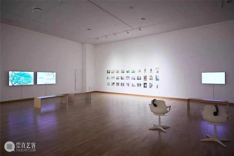 没顶画廊 | 2020年艺术家在机构的重要展览合集 艺术家 机构 画廊 合集 2020年 全球 疫情 状况 过去 空间 崇真艺客