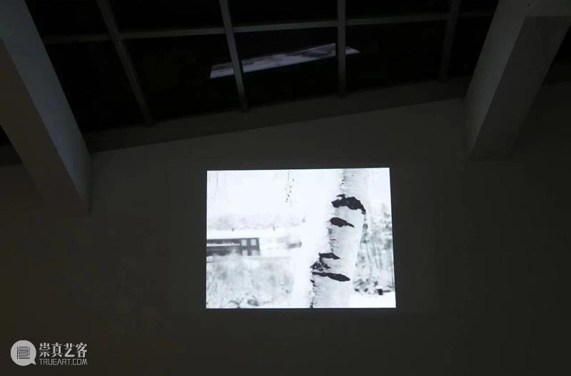 没顶画廊 | 2020年艺术家在机构的重要展览合集 艺术家 机构 画廊 合集 2020年 全球 疫情 状况 过去 空间 崇真艺客