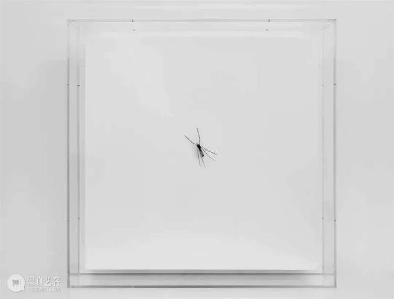 没顶画廊 | 2020年艺术家在机构的重要展览合集 艺术家 机构 画廊 合集 2020年 全球 疫情 状况 过去 空间 崇真艺客