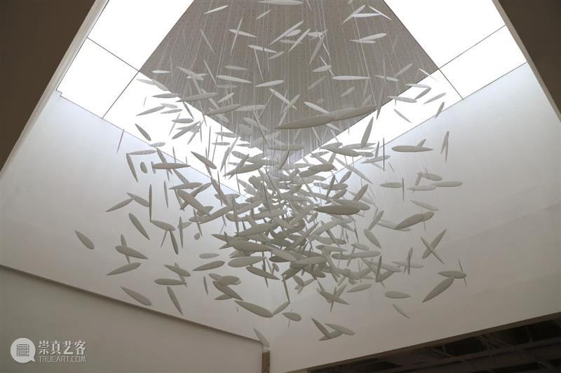 【实验空间·人物随访】白纸—刘建华个展 视频资讯 人物随访 人物 个展 白纸 刘建华 空间 雕塑 领域 青年 艺术家 实验性 崇真艺客