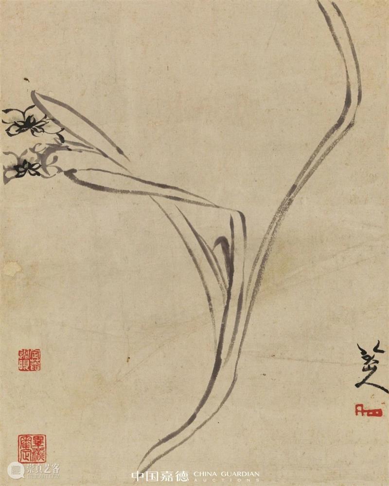 【花花视界】岁寒清欢，养个水仙 水仙 花花 视界 岁寒 大小 日子 蒜头 样貌 鳞茎 清水 崇真艺客
