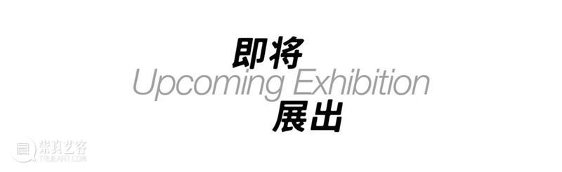 SCôP Conversation | 细江英公:相机前的身体表演,表演里的精神追问 细江英公 身体 精神 相机 系列 蔷薇刑 时代 日本 主流 社会 崇真艺客