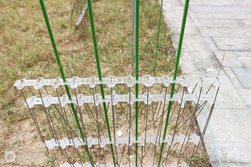 华侨城盒子美术馆| 对话钟云舒:物品的侦探 崇真艺客