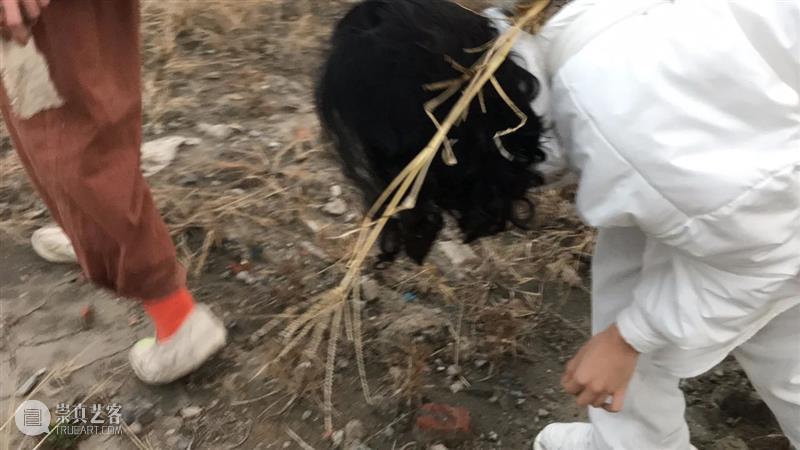 | 我们就是行为 | 1月31日最终现场 行为 现场 水泥 公园 空间 部分 艺术家 吕德生 何悠 河马 崇真艺客