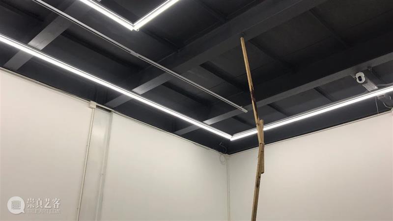 | 我们就是行为 | 1月31日最终现场 行为 现场 水泥 公园 空间 部分 艺术家 吕德生 何悠 河马 崇真艺客