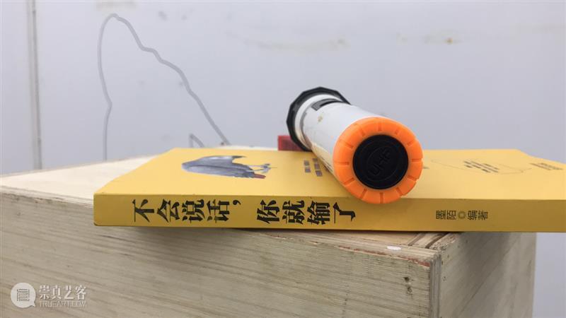 | 我们就是行为 | 1月31日最终现场 行为 现场 水泥 公园 空间 部分 艺术家 吕德生 何悠 河马 崇真艺客