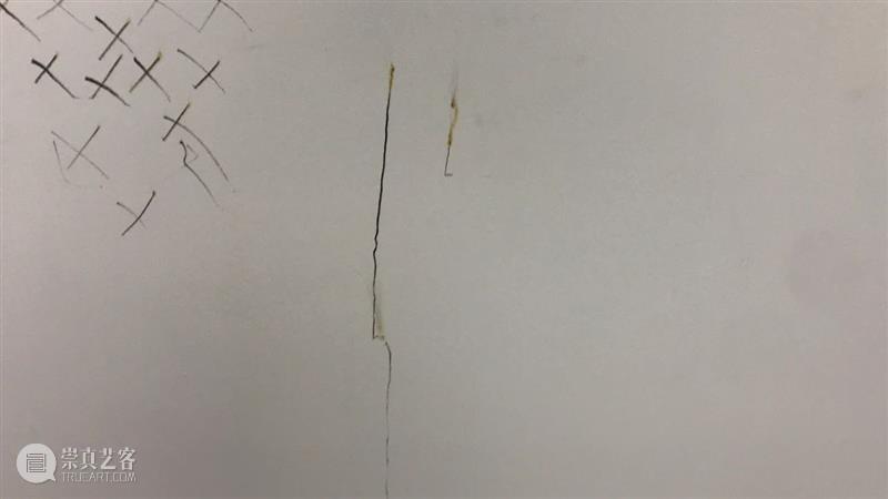 | 我们就是行为 | 1月31日最终现场 行为 现场 水泥 公园 空间 部分 艺术家 吕德生 何悠 河马 崇真艺客
