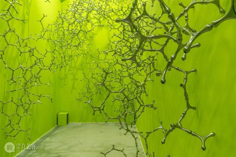 常青画廊参展「世纪·浪潮——2020海花岛国际艺术邀请展」  常青画廊 CONTINUA 常青画廊 世纪 浪潮 海花岛 国际 艺术 艺术家 卡普尔 Kapoor 乔瓦尼 崇真艺客