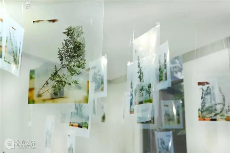 湖北美术馆春节假期展览安排 策划部 湖北美术馆 假期 文化 平台 艺术 殿堂 美术馆 城市 名片 这座城市 崇真艺客
