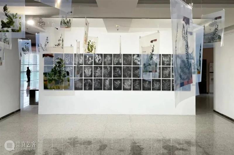 【IFA-艺术展览】新年提案|就地过年春节期间观展指南  郑禹舟 新年 指南 期间 艺术 IFA 提案 时间 滚轮 尾气 街头 崇真艺客