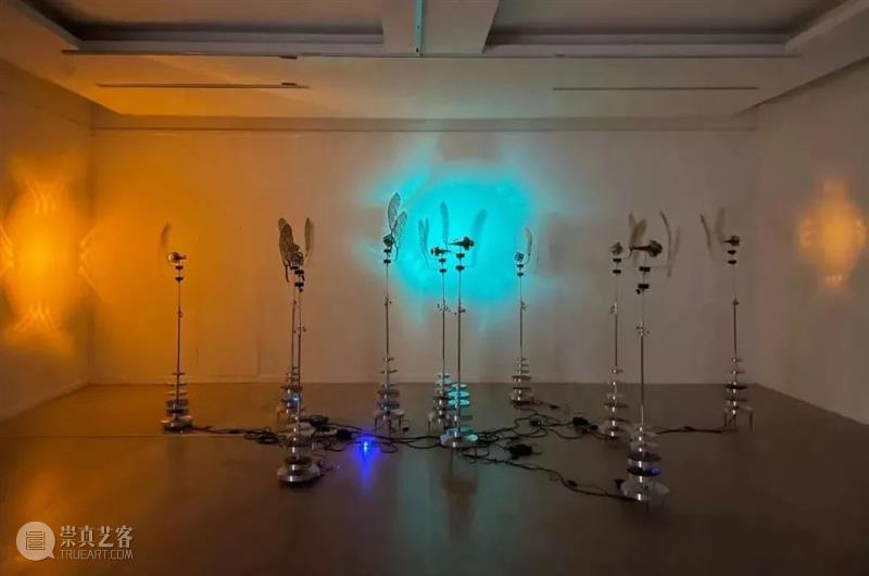 【IFA-艺术展览】新年提案|就地过年春节期间观展指南  郑禹舟 新年 指南 期间 艺术 IFA 提案 时间 滚轮 尾气 街头 崇真艺客