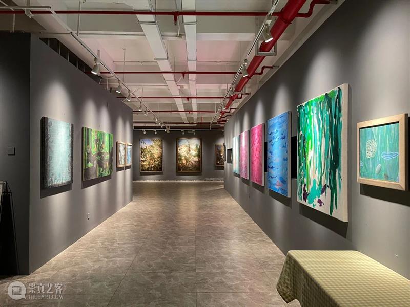 海南钻石海岸蓝色艺术节之《蔚蓝空海》当代艺术展隆重开幕  桥舍画廊BridgeGallery 海南 钻石海岸 蓝色 艺术节 蔚蓝空海 艺术展 三亚 阳光 朋友 观展 崇真艺客