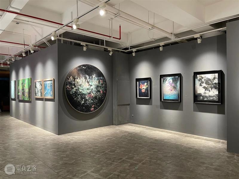 海南钻石海岸蓝色艺术节之《蔚蓝空海》当代艺术展隆重开幕  桥舍画廊BridgeGallery 海南 钻石海岸 蓝色 艺术节 蔚蓝空海 艺术展 三亚 阳光 朋友 观展 崇真艺客