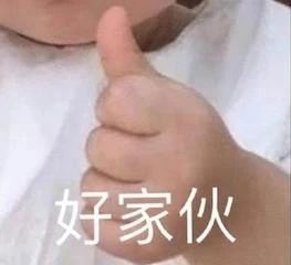 赵丽颖配音迪士尼动画新片；《猎鹰与冬兵》发布正式预告 赵丽颖 迪士尼动画 新片 猎鹰与冬兵 预告 影视 好剧 小豆 寻龙传说 内地 崇真艺客