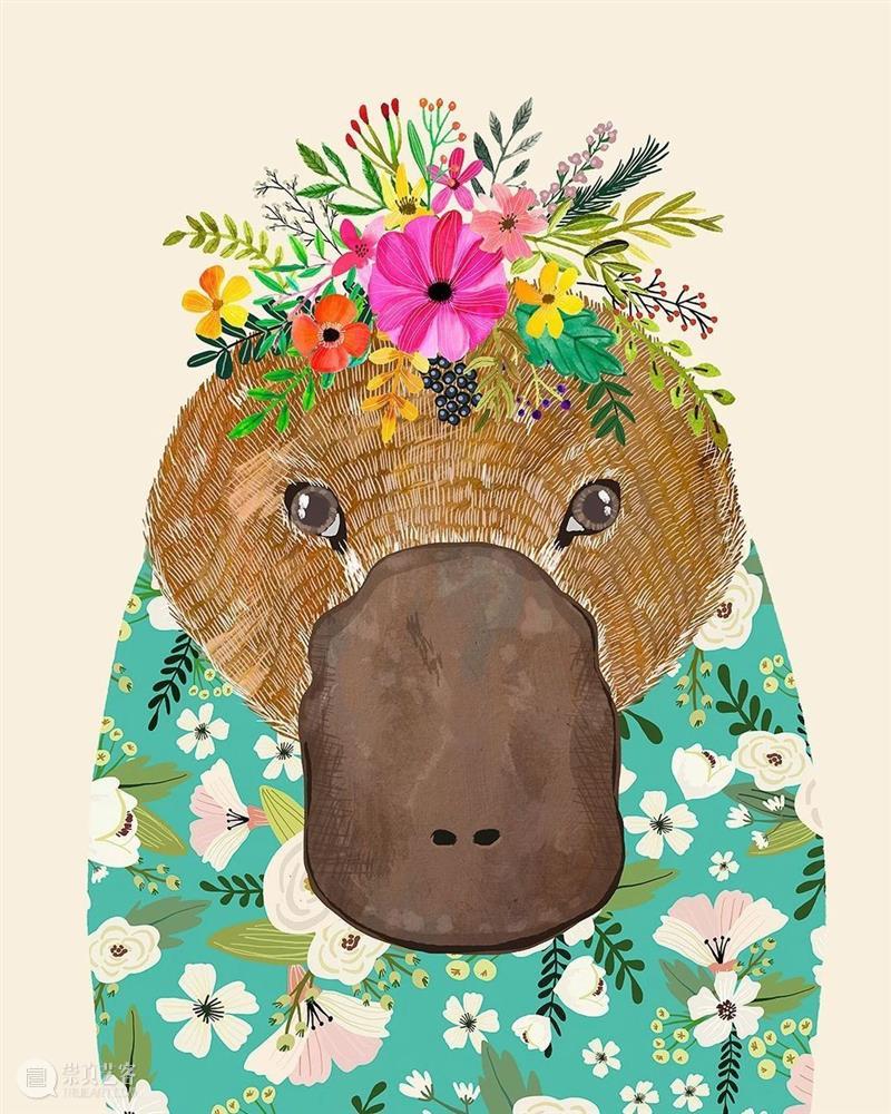 当小动物换上敲可爱的头像 小动物 头像 西班牙 插画家 Charro 自然 童话 魔术 故事 插图 崇真艺客