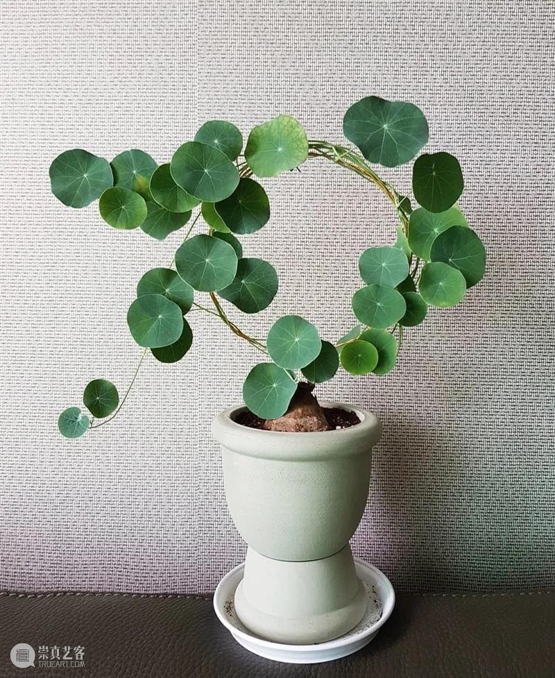 设计趋势丨寻觅自然灵感,打造绿色家居生活 趋势 绿色 家居 生活 灵感 自然 亚洲 盛会 上海 上海世博展览馆 崇真艺客