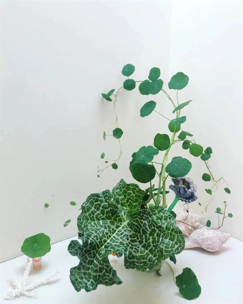 设计趋势丨寻觅自然灵感,打造绿色家居生活 趋势 绿色 家居 生活 灵感 自然 亚洲 盛会 上海 上海世博展览馆 崇真艺客