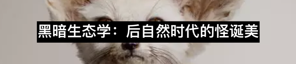 那个发现尼斯湖水怪的渔夫 崇真艺客