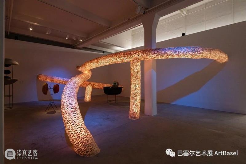 看，艺术家 Vol.2 | 苏咏宝 艺术家 苏咏宝 Vol.2 自体 现场 德萨 画廊 图片 一般人 游乐场 崇真艺客