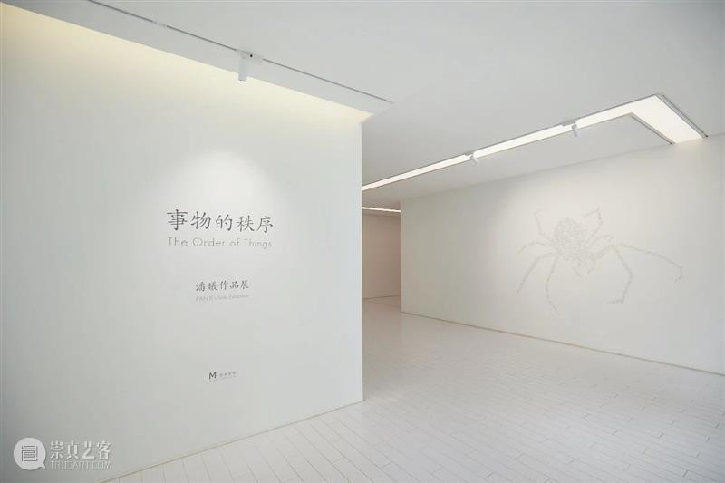 事物的秩序｜ 潘曦作品展 事物 秩序 潘曦 作品展 艺术家 Artist PANXi 展期 Duration Tuesday 崇真艺客