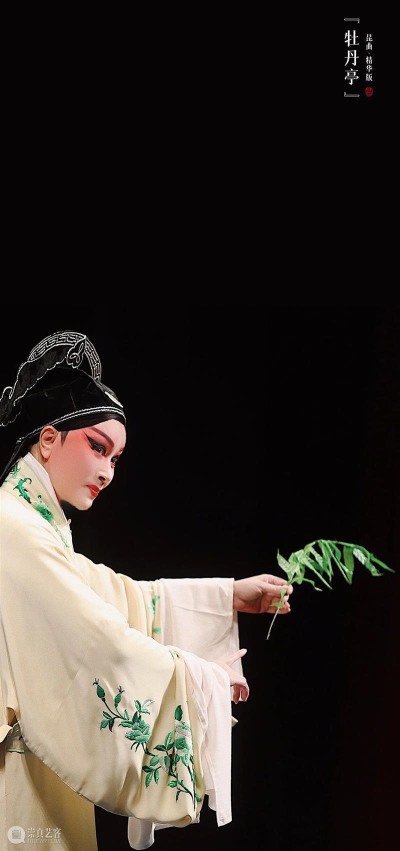花城看花行大运，三月齐来看“牡丹” 花城看花行大运 牡丹 花街 广州 节目 逛花市 迎春花市 特色 传统 广东 崇真艺客