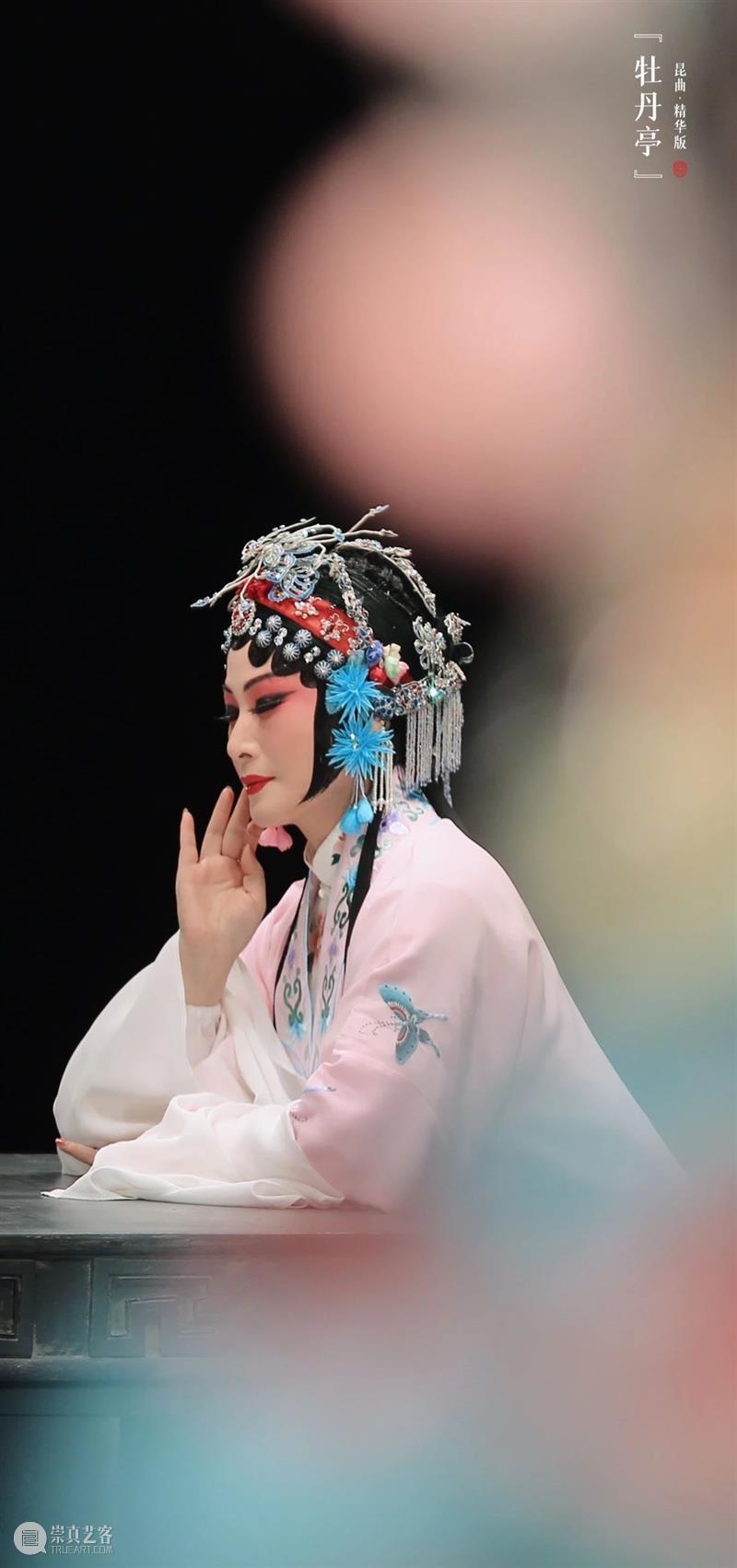 花城看花行大运，三月齐来看“牡丹” 花城看花行大运 牡丹 花街 广州 节目 逛花市 迎春花市 特色 传统 广东 崇真艺客