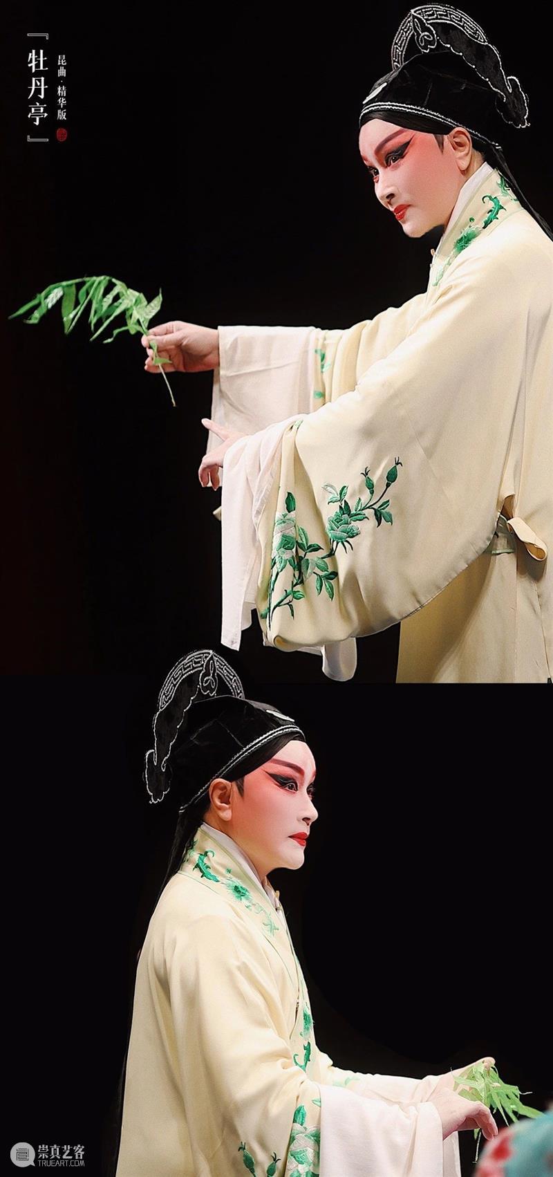 花城看花行大运，三月齐来看“牡丹” 花城看花行大运 牡丹 花街 广州 节目 逛花市 迎春花市 特色 传统 广东 崇真艺客