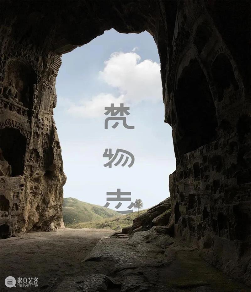 南山供秀：2020回顾 南山 以来 石窟 寺观 博物馆 佛教 艺术 读者 高质量 资料 崇真艺客