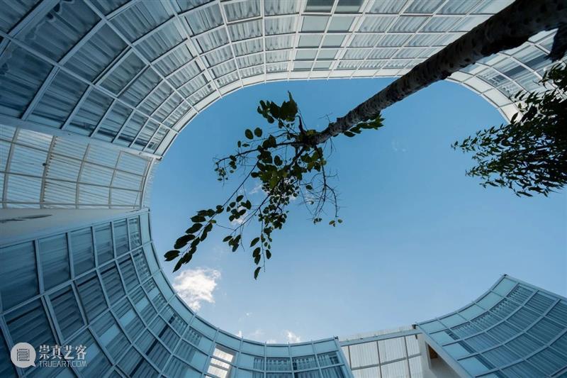 椭圆内院，越南LOOP精品酒店咖啡厅 / G+ Architects 越南 椭圆 内院 LOOP精品酒店咖啡厅 Tran 项目 占地面积 场地 长凳状 业主 崇真艺客