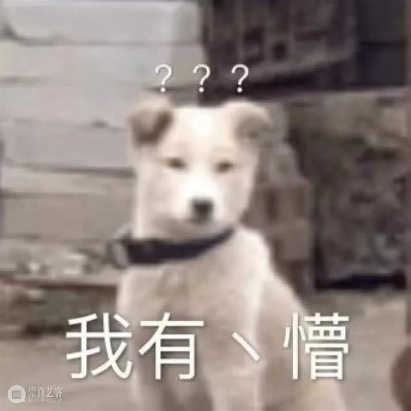 刘亚仁再获青龙影帝；《少年的你》入选奥斯卡国际影片短名单 少年的你 奥斯卡 国际 影片 名单 刘亚仁 青龙 影帝 影视 好剧 崇真艺客
