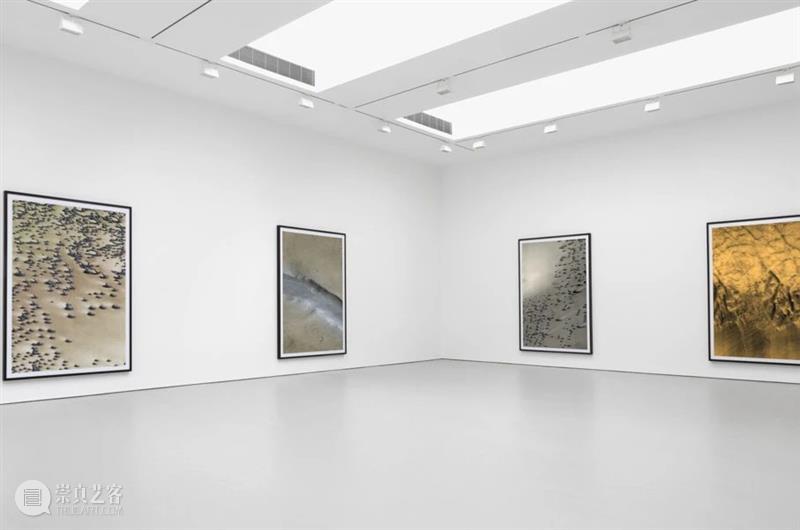 今日生日｜托马斯·鲁夫（Thomas Ruff） 鲁夫 托马斯 Ruff 生日 卓纳 画廊 图片 历史 建筑 赫尔佐格 崇真艺客