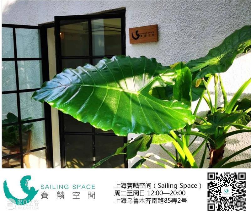 赛麟空间春节安排 赛麟 空间 新春佳节 Space 艺术 爱好者 新春 牛气 上海 期间 崇真艺客