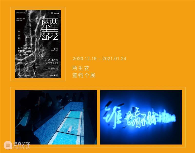 西安美术馆|与你一起走过的2020 西安美术馆 程序 日期 个人 信息 时间 节假日 方式 实名制 观众 崇真艺客