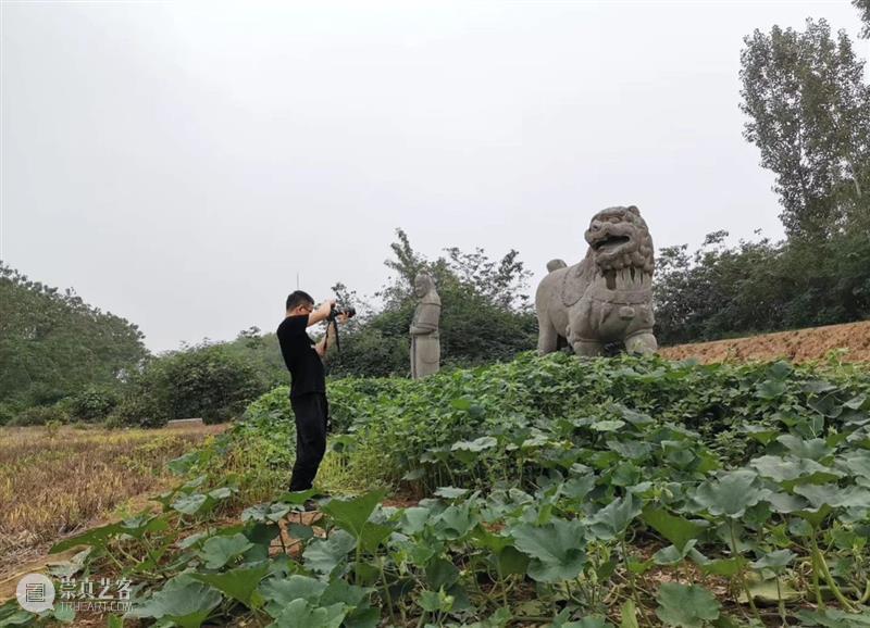 ​唯留一湖水 与汝慰心劳：南山禅2020行迹 行迹 湖水 南山 汝慰心劳 牛气 疫情 脚步 时间 精力 流水账 崇真艺客