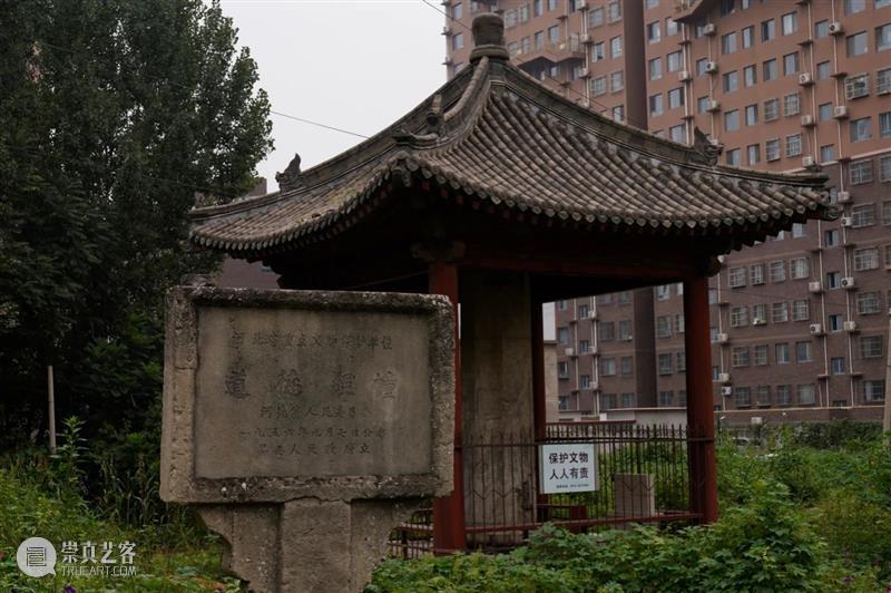 ​唯留一湖水 与汝慰心劳：南山禅2020行迹 行迹 湖水 南山 汝慰心劳 牛气 疫情 脚步 时间 精力 流水账 崇真艺客