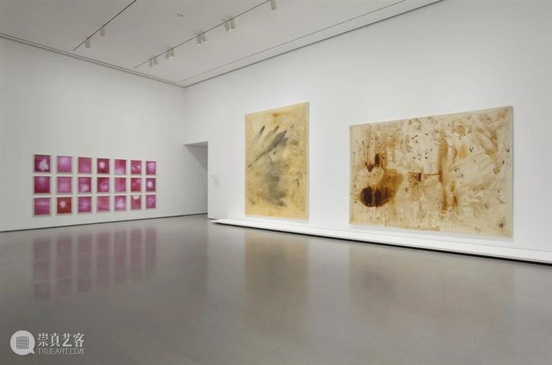 今日生日｜西格玛·波尔克（Sigmar Polke） 西格玛 波尔克 Sigma Polke 生日 卓纳 画廊 不在场证明 现场 纽约现代艺术博物馆 崇真艺客