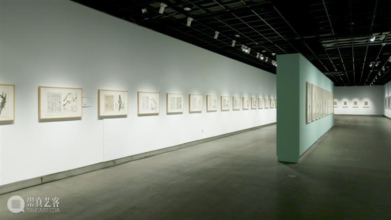 心素|第六届杭州中国画双年展·册页篇 杭州 中国 双年展 心素 册页篇 雅集 浙江美术馆 手卷 册页 中堂 崇真艺客