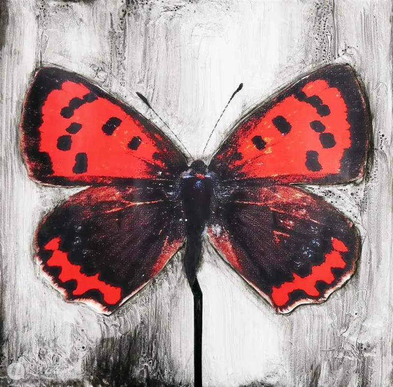 心素|第六届杭州中国画双年展·册页篇 杭州 中国 双年展 心素 册页篇 雅集 浙江美术馆 手卷 册页 中堂 崇真艺客