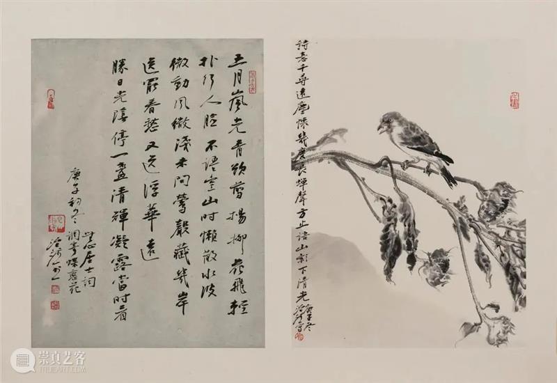 心素｜第六届杭州中国画双年展·册页篇 杭州 中国 双年展 心素 册页篇 雅集 浙江美术馆 手卷 册页 中堂 崇真艺客