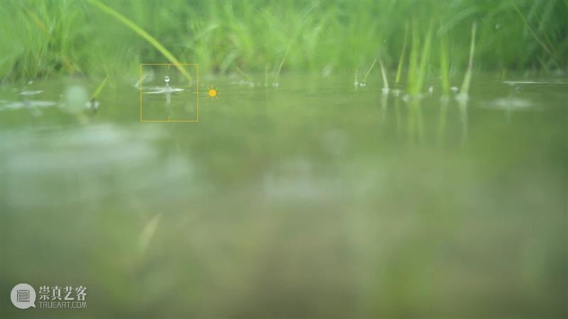 策展课II 策划案⑦ | 陈立：等待、缠绕、隐去、显现 策展 陈立 策划案 核心 策展人 崔灿灿 华·美术馆 馆长 冯峰 OCAT 崇真艺客