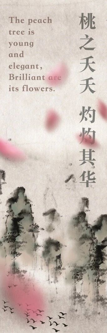 神仙秘境？艺术馆TA变了.... 秘境 神仙 艺术馆 大年初三 场馆 中庭 桃花源 花海 海边 阳光 崇真艺客