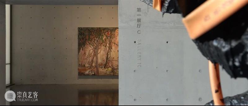 “浩瀚史”新年开放及展览视频首发 视频 新年 名称 尹朝阳 艺术家 地址 龙美术馆 西岸 展厅 上海徐汇区 崇真艺客