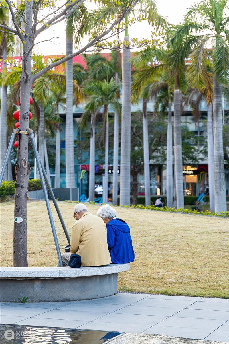这不就是没回家过年的你 崇真艺客