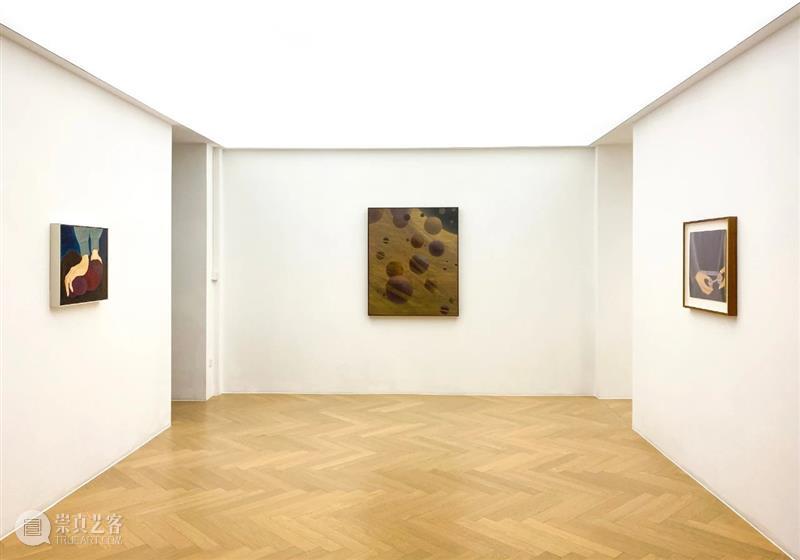 看画｜距离的辞林：俞洁《持续》 俞洁 距离 辞林 持续 个展 拂尘 上下 颅颈 姿态 沼泽 崇真艺客