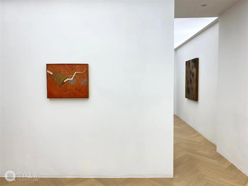 看画｜距离的辞林：俞洁《持续》 俞洁 距离 辞林 持续 个展 拂尘 上下 颅颈 姿态 沼泽 崇真艺客