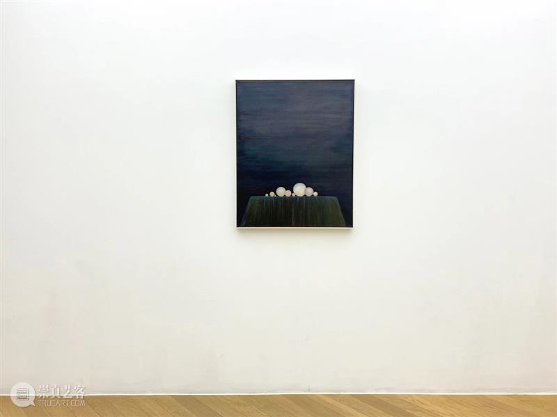 看画｜距离的辞林：俞洁《持续》 俞洁 距离 辞林 持续 个展 拂尘 上下 颅颈 姿态 沼泽 崇真艺客