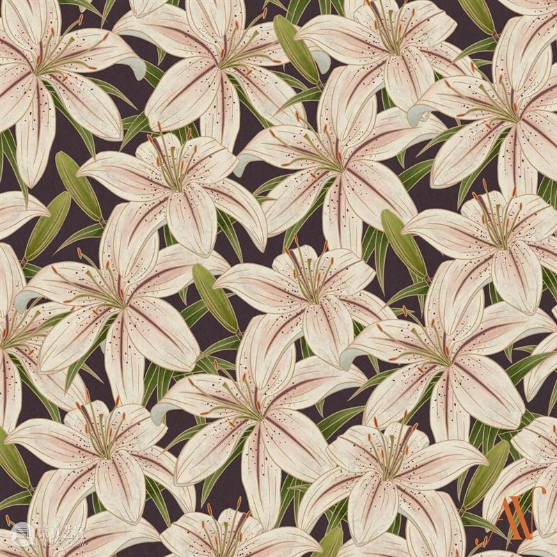 古典纹样素材 古典 纹样 素材 菲律宾 插画家 图案 设计师 Alyanna Nebreja 植物 崇真艺客