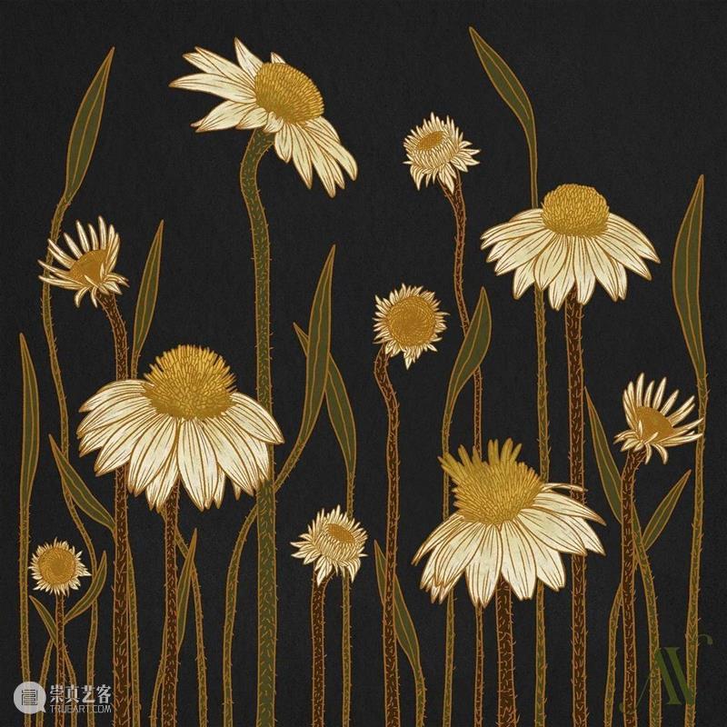 古典纹样素材 古典 纹样 素材 菲律宾 插画家 图案 设计师 Alyanna Nebreja 植物 崇真艺客