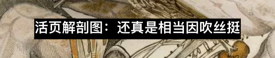 “人皮书”的迷思 皮书 迷思 利维坦 人皮书 公众 威廉·伯克 皮肤 杀人犯 遗体 爱丁堡医学院 崇真艺客